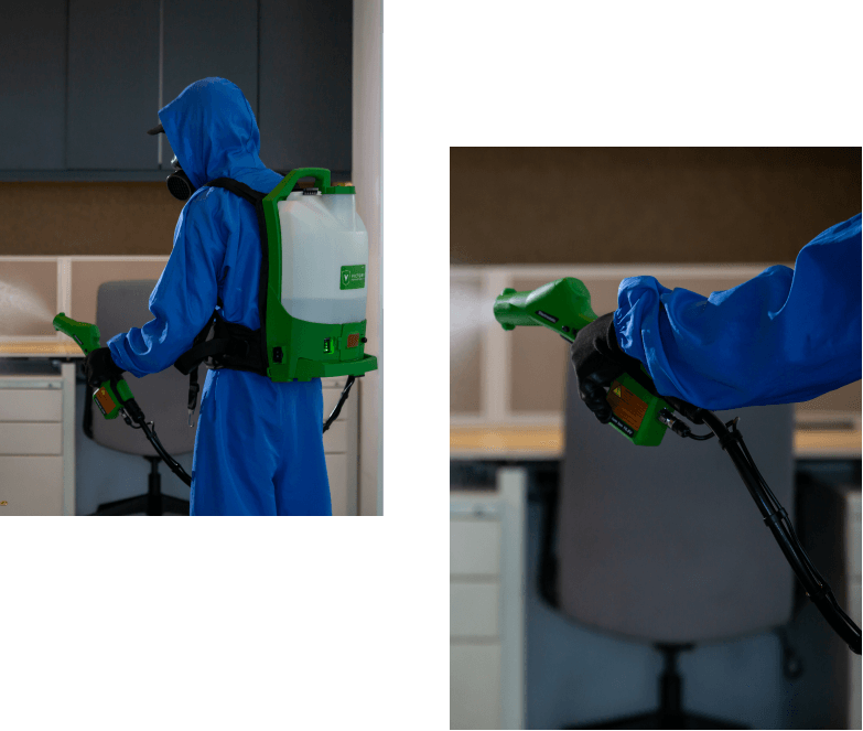pest control services