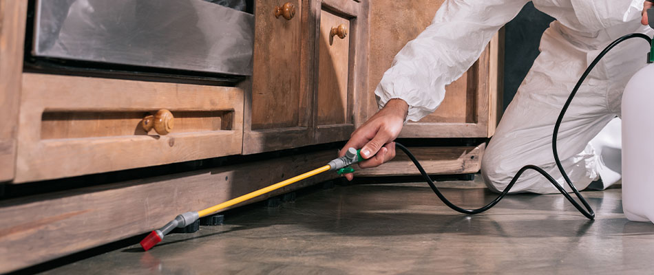 Slide 39 What would be the best pest control method