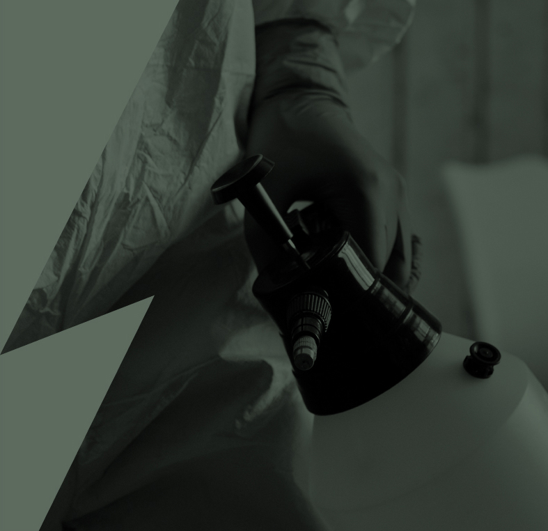 contact section bg 1