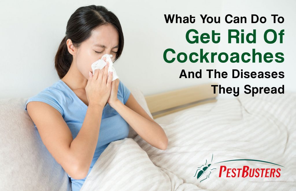 get rid of cockroaches 1024x660 1