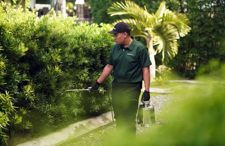 pest control services