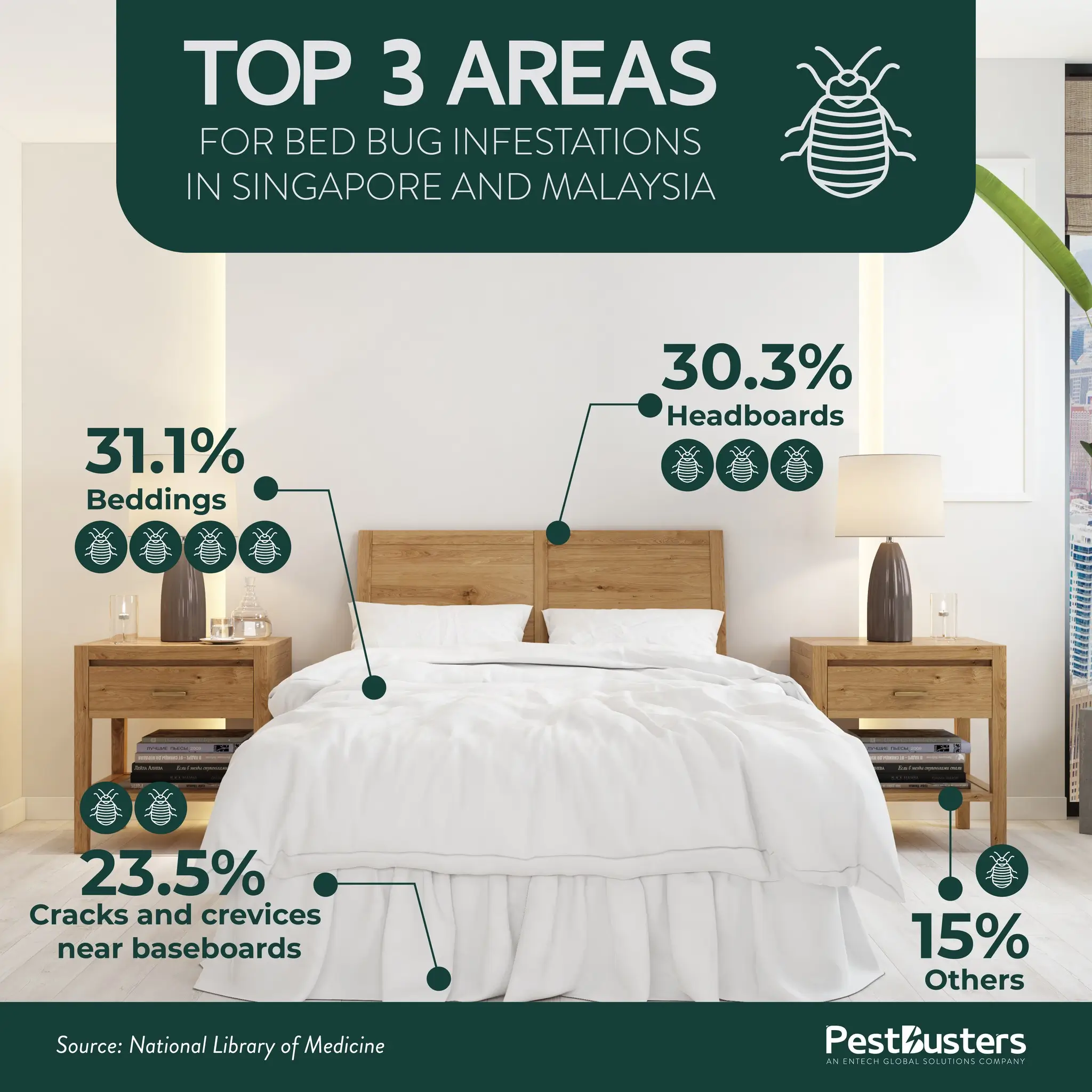 Top 3 Areas for Bed Bug Infestations