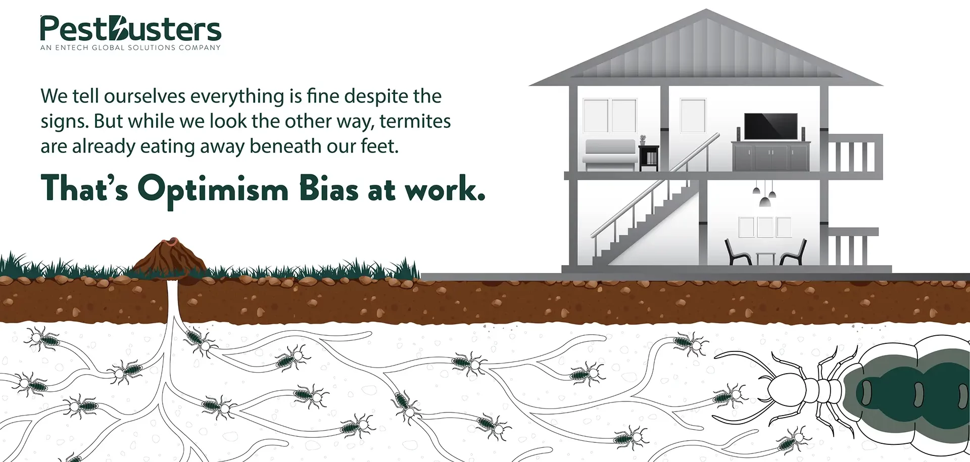 An explanation of Optimism Bias in the context of termite infestation.