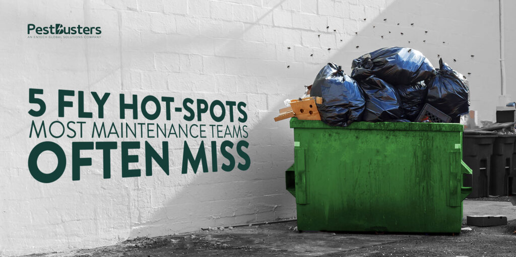 5 Fly Hot-Spots Most Maintenance Teams Often Miss Featured Image