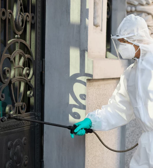 Home Pest Control
